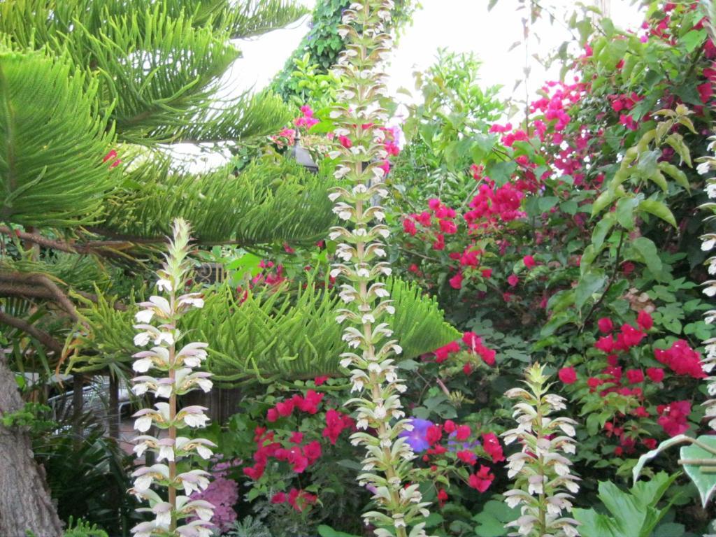 A White Jasmine Inn Санта Барбара Екстериор снимка